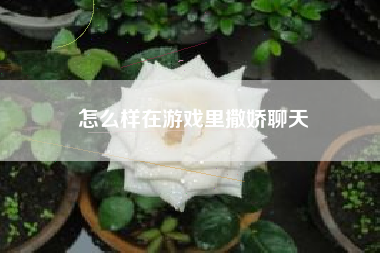 怎么样在游戏里撒娇聊天
