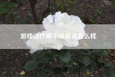 游戏动作师中级薪资怎么样