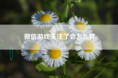 微信游戏关注了会怎么样