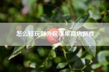 怎么样玩到外区苹果商店游戏