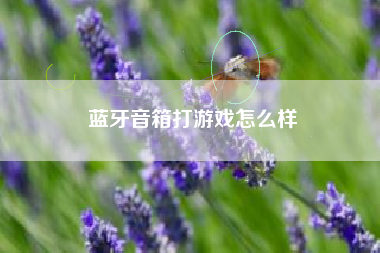 蓝牙音箱打游戏怎么样