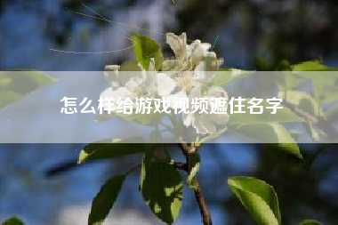 怎么样给游戏视频遮住名字