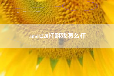 amdx220打游戏怎么样