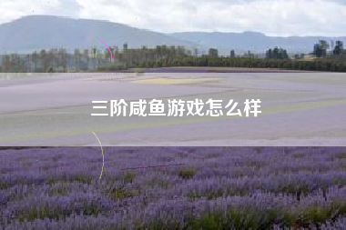 三阶咸鱼游戏怎么样