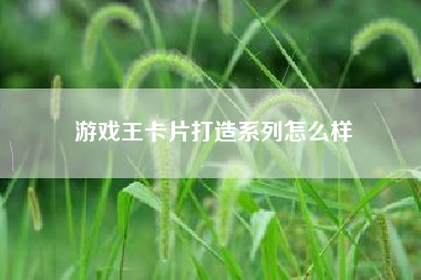 游戏王卡片打造系列怎么样