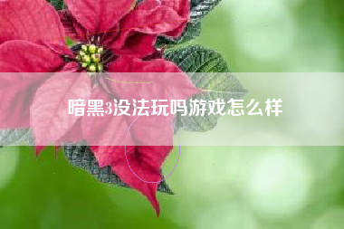 暗黑3没法玩吗游戏怎么样