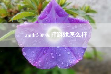 amdr54600u打游戏怎么样