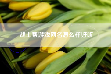 战士帮游戏网名怎么样好听