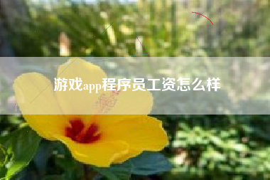 游戏app程序员工资怎么样