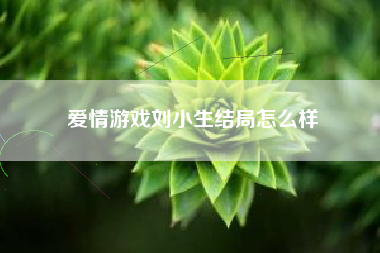 爱情游戏刘小生结局怎么样