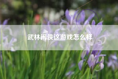 武林闲侠这游戏怎么样