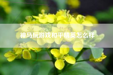 神马玩游戏和平精英怎么样