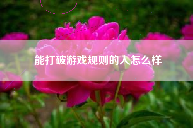 能打破游戏规则的人怎么样