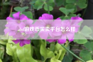 dnf游戏币买卖平台怎么样