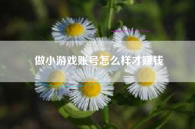 做小游戏账号怎么样才赚钱