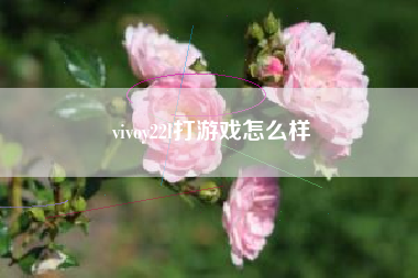 vivoy22l打游戏怎么样