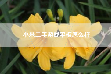 小米二手游戏平板怎么样