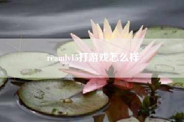 reamlv15打游戏怎么样