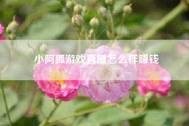 小阿狐游戏直播怎么样赚钱