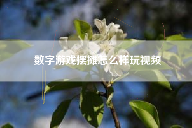 数字游戏摆摊怎么样玩视频