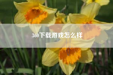 360下载游戏怎么样