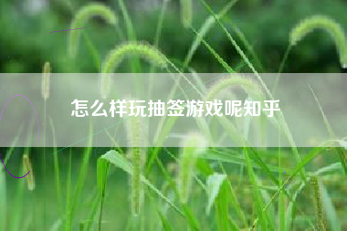 怎么样玩抽签游戏呢知乎