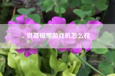 世嘉磁带游戏机怎么样