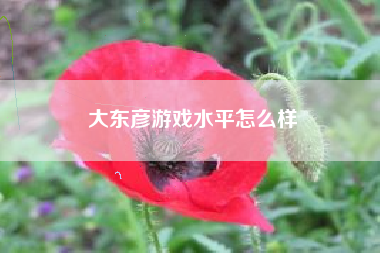 大东彦游戏水平怎么样