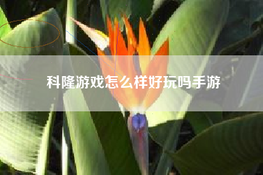 科隆游戏怎么样好玩吗手游