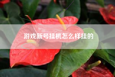 游戏新号挂机怎么样挂的