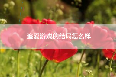 追爱游戏的结局怎么样