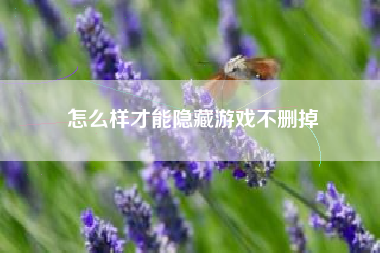 怎么样才能隐藏游戏不删掉