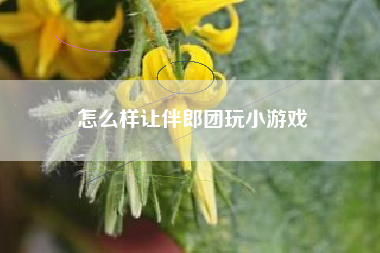 怎么样让伴郎团玩小游戏