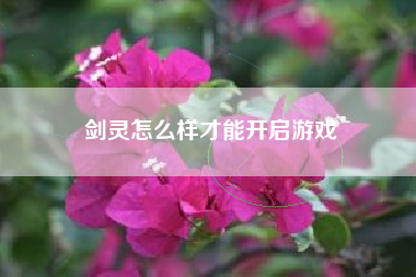 剑灵怎么样才能开启游戏