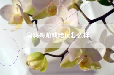 乌鸦哥游戏陪玩怎么样