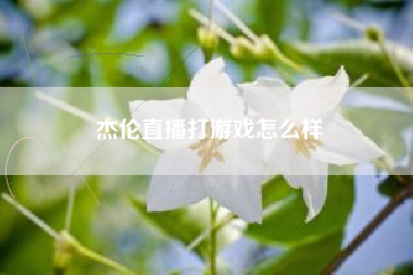 杰伦直播打游戏怎么样