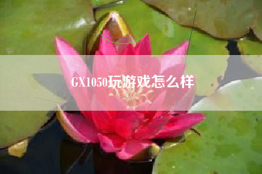 GX1050玩游戏怎么样