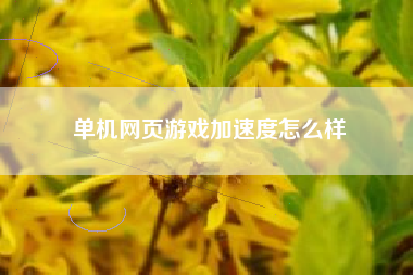 单机网页游戏加速度怎么样