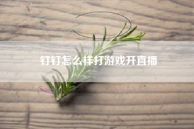 钉钉怎么样打游戏开直播