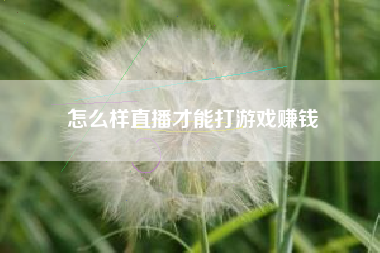 怎么样直播才能打游戏赚钱