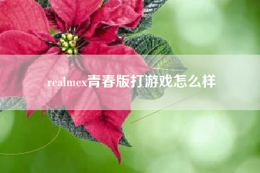 realmex青春版打游戏怎么样