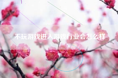 不玩游戏进入游戏行业会怎么样