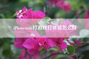 iPhonemini打游戏打体验怎么样