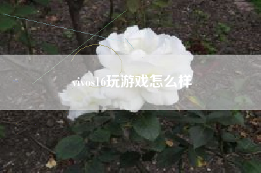 vivos16玩游戏怎么样