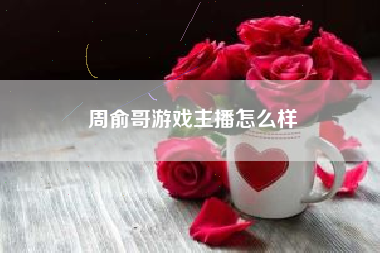 周俞哥游戏主播怎么样