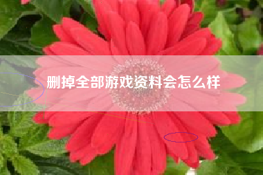 删掉全部游戏资料会怎么样