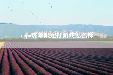 oppo虎年限定打游戏怎么样