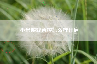 小米游戏智控怎么样开启