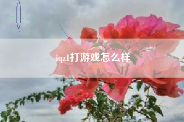 iqz1打游戏怎么样