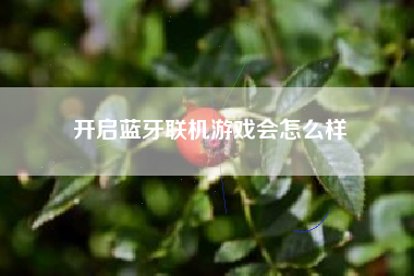 开启蓝牙联机游戏会怎么样